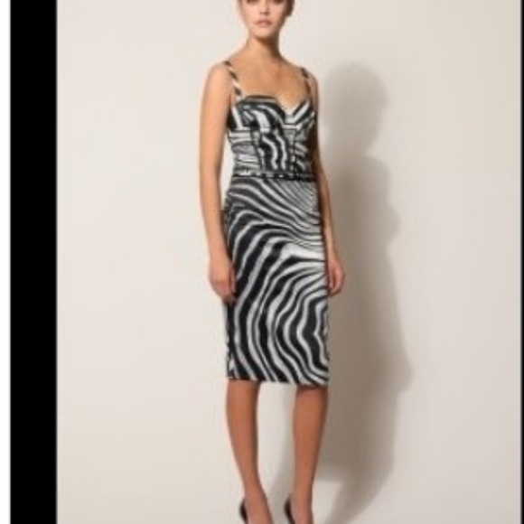 JUST CAVALLI Zebra Bustier Silk Dress XS - Picture 2 of 8